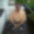 Profilbild von Michael Haupt