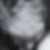 Profilbild von Nicole Friedrich