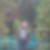 Profilbild von Michael Knoblich
