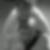 Profilbild von Claudia Roell