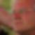 Profilbild von Ulrich Haigis