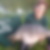 Profilbild von Cornelia Ulshöfer