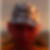 Profilbild von Marcus Merz