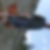 Profilbild von Marcus Steier