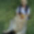 Profilbild von Monika Seidel
