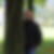Profilbild von Bernd Biedermann