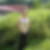 Profilbild von Claudia Oehmichen