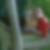 Profilbild von Andrea Tritschler