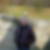 Profilbild von Andreas Pinter