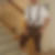 Profilbild von Winfried Leichtle
