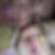Profilbild von Muriel Wunenburger