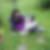 Profilbild von Dagmar Fabry