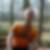 Profilbild von Sven Rudolph