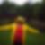 Profilbild von Renate Streithorst