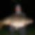 Profilbild von Ralf Blosat