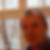 Profilbild von Volker Riecke