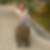 Profilbild von Corinna Tirl