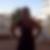 Profilbild von Martina Roth