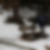 Profilbild von Ulrich Winter