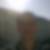 Profilbild von Steve Manck