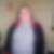 Profilbild von Manfred Ostler