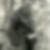 Profilbild von Horst Braun