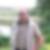 Profilbild von Volkmar Buchheim