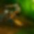 Profilbild von Ingo Dagga