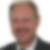 Profilbild von Werner Scherer