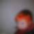 Profilbild von Sarah Mirr