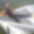 Profilbild von Inge Loock