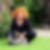 Profilbild von Nicole Sylvia Konrad