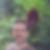 Profilbild von Dirk Gebhard