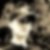 Profilbild von Werner Linhart