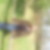 Profilbild von Andreas Schelenz