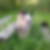 Profilbild von Margrit Sander