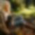 Profilbild von Nicole Buder