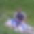 Profilbild von Mario Ruf