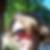 Profilbild von Andreas Gosslar