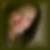 Profilbild von Margit Anschütz