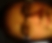 Profilbild von Christopher Krebs