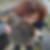 Profilbild von Annemarie Werner