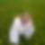 Profilbild von Katja Stankowiak