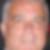Profilbild von Orhan Gul