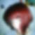 Profilbild von Nadine Gotthardt