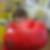 Profilbild von Beate Holter