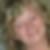 Profilbild von Margit Nilles