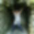 Profilbild von Carmen Capristo