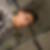 Profilbild von Marko Debelnogic