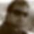 Profilbild von Mario Weber